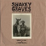 Shakey Graves, Shakey Graves And The Horse He Rode In On mp3
