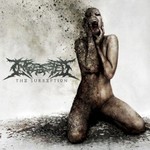Ingested, The Surreption mp3