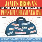 James Brown, Papa's Got A Brand New Bag