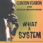 Clinton Fearon & Boogie Brown Band, What A System