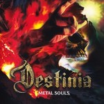 Nozomu Wakai's Destinia, Metal Souls