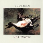 Dolorean, Not Exotic mp3