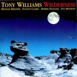 Tony Williams, Wilderness