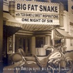 Big Fat Snake, One Night Of Sin