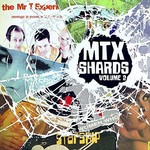 The Mr. T Experience, Shards, Vol. 2