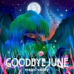 Goodbye June, Magic Valley