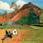 Resistor, The Secret Island Band