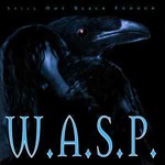 W.A.S.P., Still Not Black Enough (US)