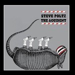 Steve Poltz, The Accident