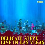 Delicate Steve, Live in Las Vegas