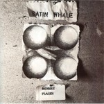 Satin Whale, Desert Places mp3