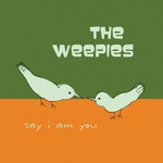 The Weepies, Say I Am You mp3