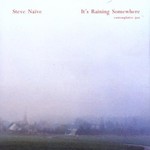 Steve Nieve, It's Raining Somewhere