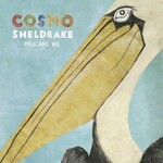 Cosmo Sheldrake, Pelicans We