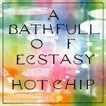 Hot Chip, A Bath Full Of Ecstasy