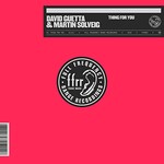 David Guetta & Martin Solveig, Thing For You
