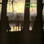 Cluster, Sowiesoso