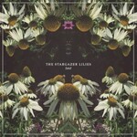 The Stargazer Lilies, Lost