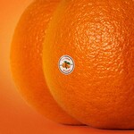 Emotional Oranges, The Juice: Vol. II