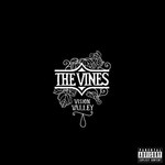 The Vines, Vision Valley