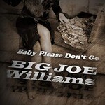 Big Joe Williams, Baby Please Don't Go