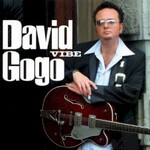 David Gogo, Vibe