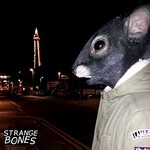 Strange Bones, We The Rats mp3