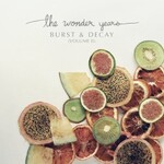 The Wonder Years, Burst & Decay (Volume II) mp3