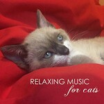 Pet Care Music Therapy, Relaxing Music for Cats - Soothing Classical Songs and Ambient Nature Sounds for Pet Therapy mp3