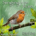 David Sun, Singing in the Rain