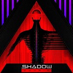 Shadow Domain, Digital Divide