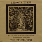 Lemon Kittens, The Big Dentist mp3