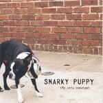 Snarky Puppy, The Only Constant mp3