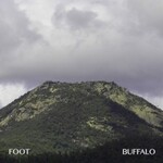 Foot, Buffalo