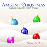 Nature's Music, Ambient Christmas Nature Sounds with Music