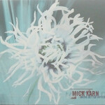 Mick Karn, More Better Different mp3