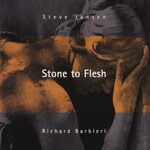 Steve Jansen & Richard Barbieri, Stone To Flesh