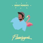 Flamingosis, Bright Moments