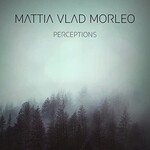 Mattia Vlad Morleo, Perceptions mp3