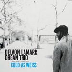 Delvon Lamarr Organ Trio, Cold As Weiss mp3