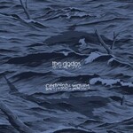 The Dodos, Certainty Waves