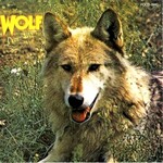 Darryl Way's Wolf, Canis Lupus