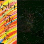 Asylum Party, What Will You Learn mp3