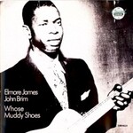 Elmore James & John Brim, Whose Muddy Shoes mp3