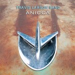 Travis Larson Band, Anicca mp3