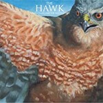 Shawn James, The Hawk
