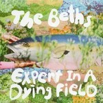 The Beths, Expert In A Dying Field