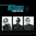 Buzzcocks, Sonics In The Soul mp3