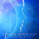 Liquid Mind, Liquid Mind XIII: Mindfulness