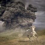 The White Buffalo, Year Of The Dark Horse